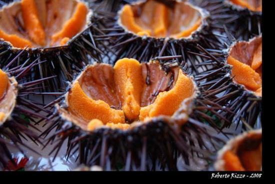 Pizzeria Zahra E Yussef